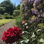 Parteen A Lax, River House & Gardens Limerick Junction