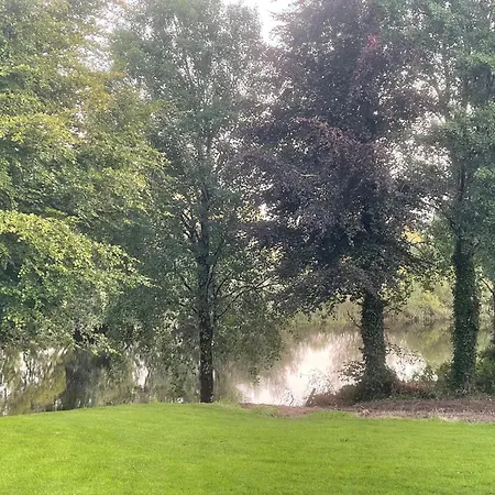 Parteen A Lax, River House & Gardens ヴィラ Limerick Junction