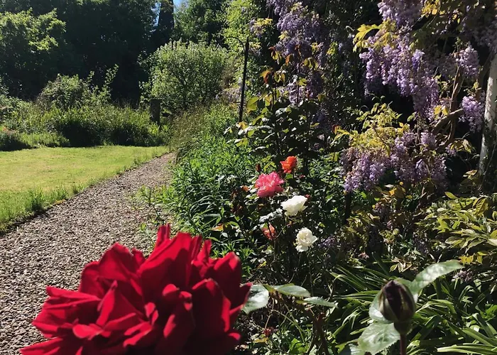 Parteen A Lax, River House & Gardens Limerick Junction